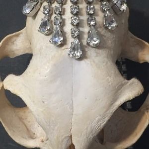 Meet your Posher, Jude